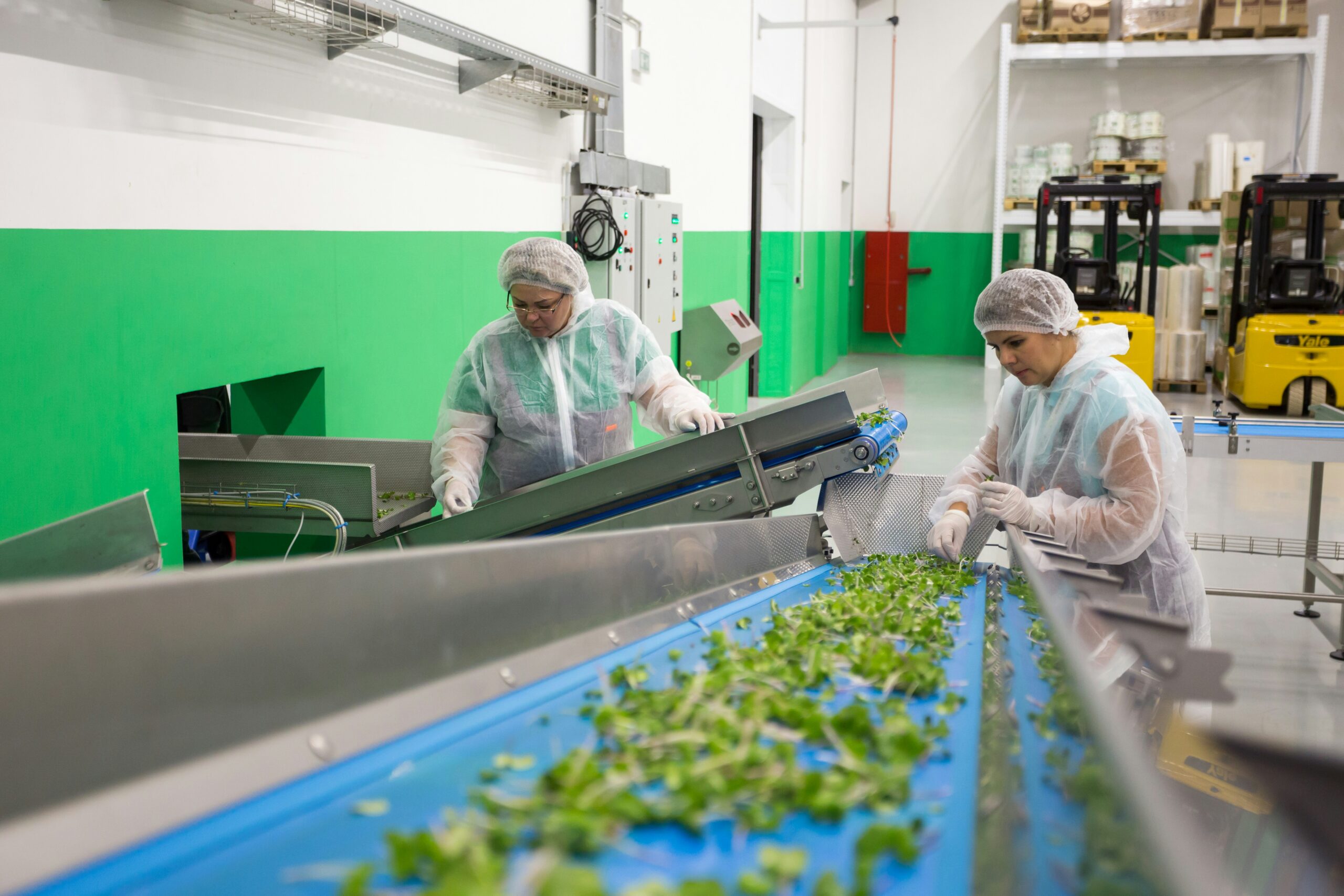 Food and Feed Safety Certification - photo 1