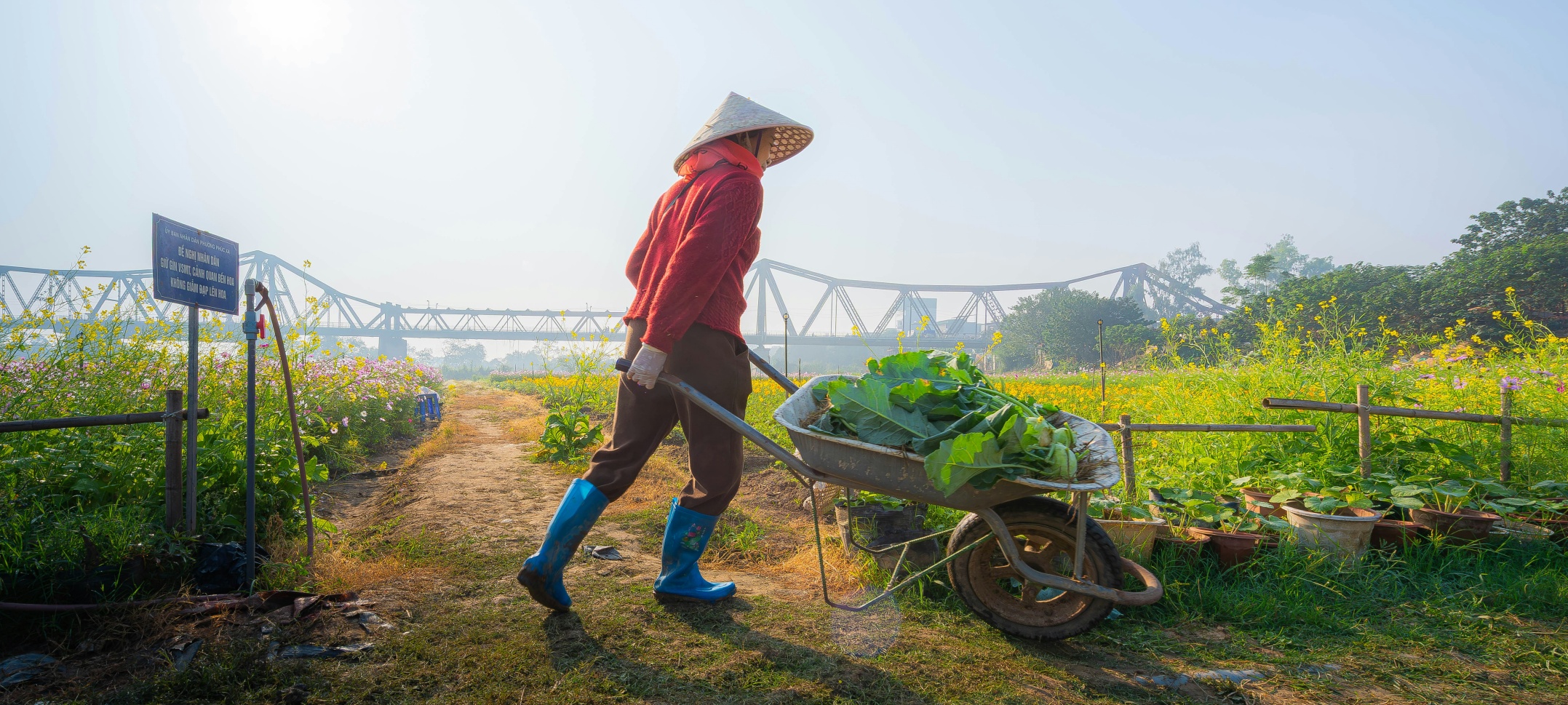 Organic farm growing produce without synthetic pesticides or fertilisers